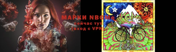 спиды Новозыбков