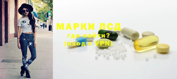 спиды Новозыбков