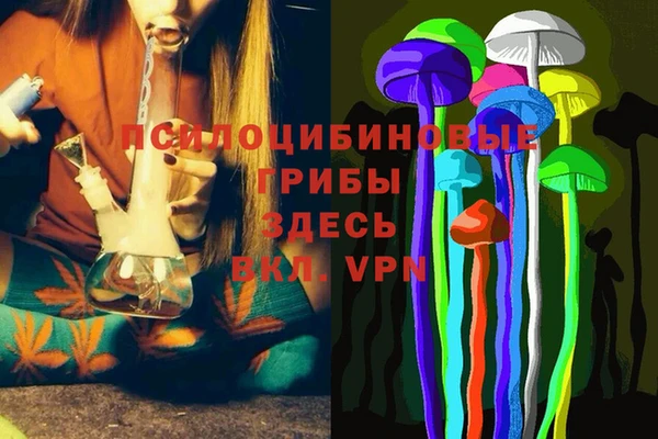 бошки Новокубанск