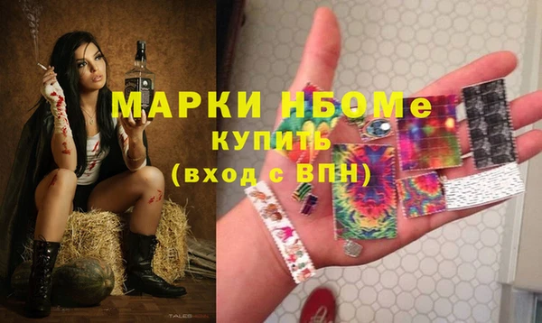 спиды Новозыбков