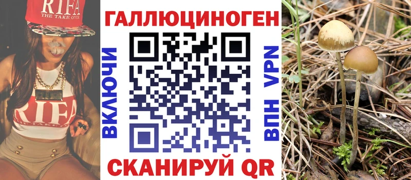 Галлюциногенные грибы ЛСД  Спас-Клепики 